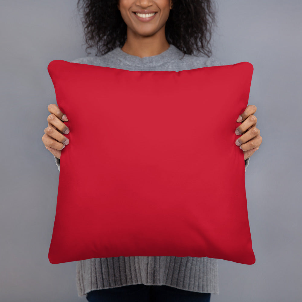 Bullseye Pillows