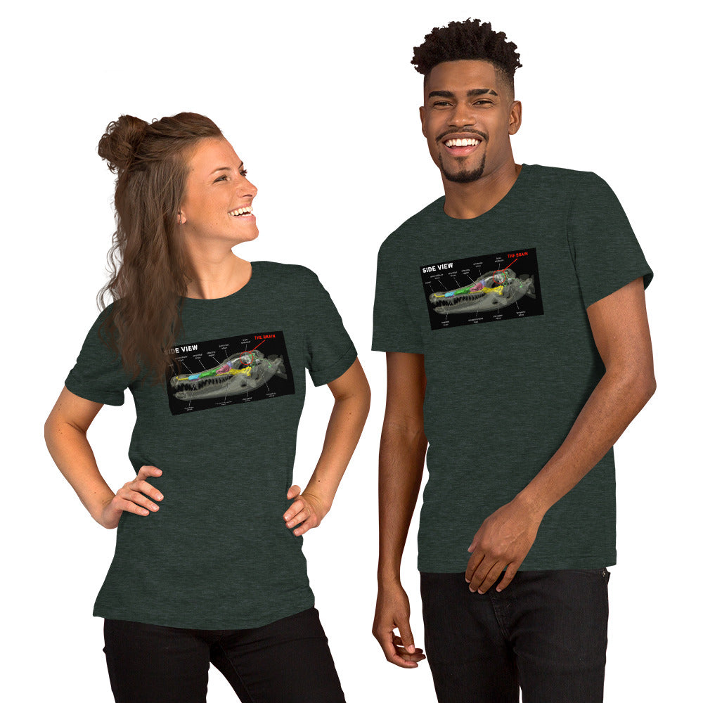 Gator Brain Unisex t-shirt Plus Sizes